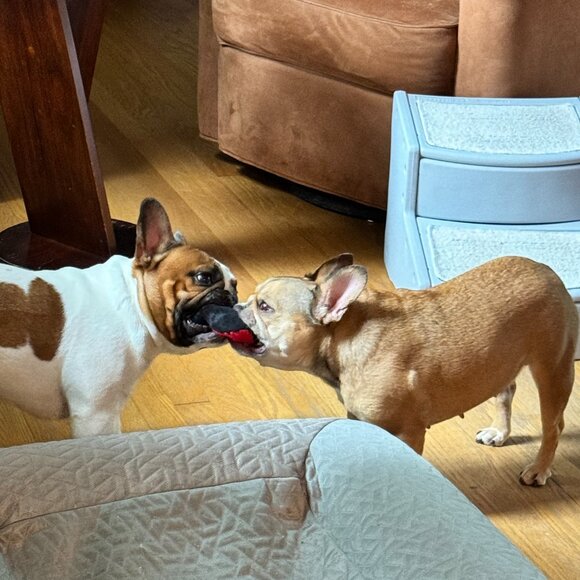 Meet your Posher, Angella - Picture 12 of 15